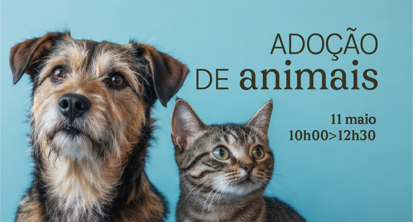 Campanha de adoção