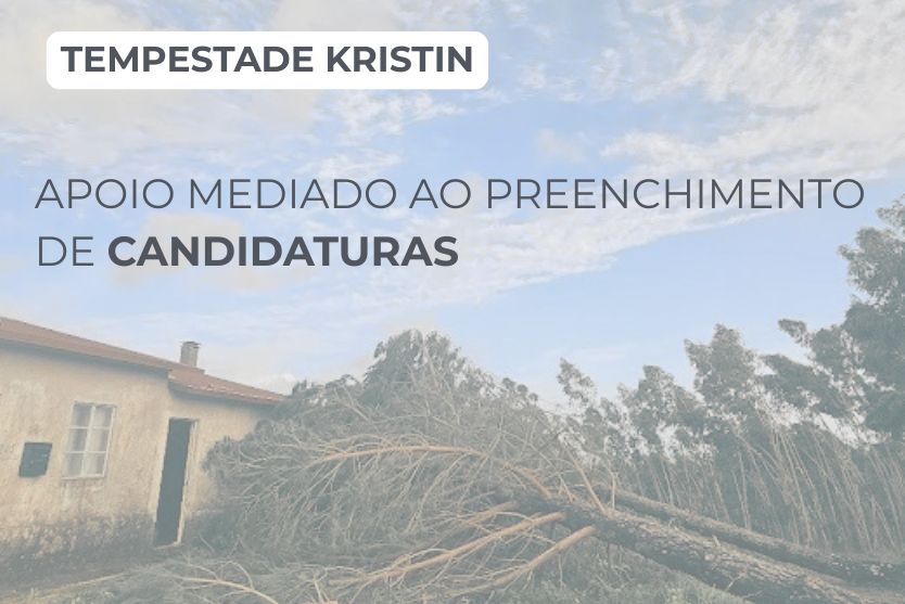 Apoio preenchimento de candidaturas - habitações