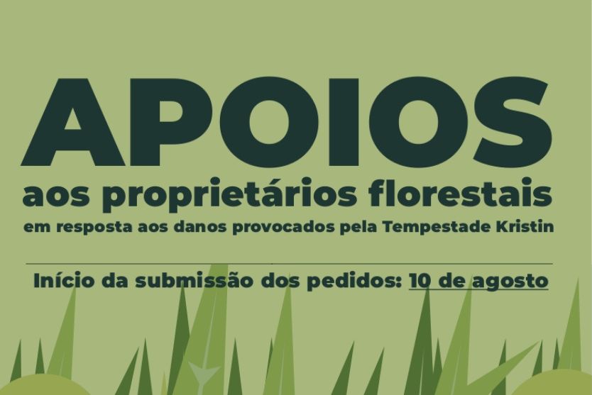 Apoios aos proprietários florestais em resposta aos danos provocados pela Kristin