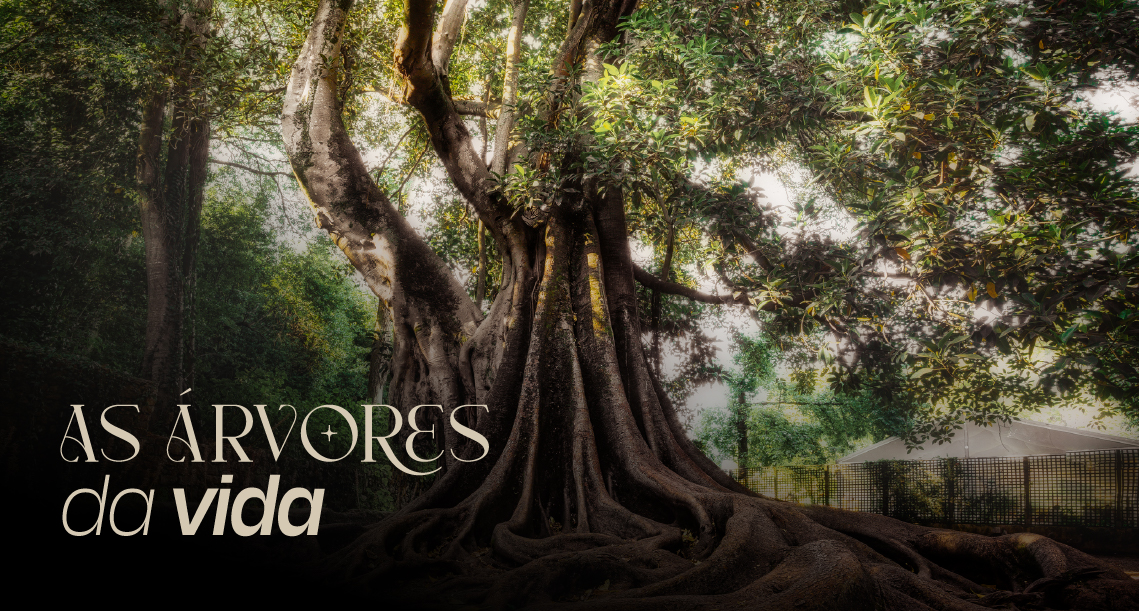 Exposição de fotografia de Rui Santos na Biblioteca