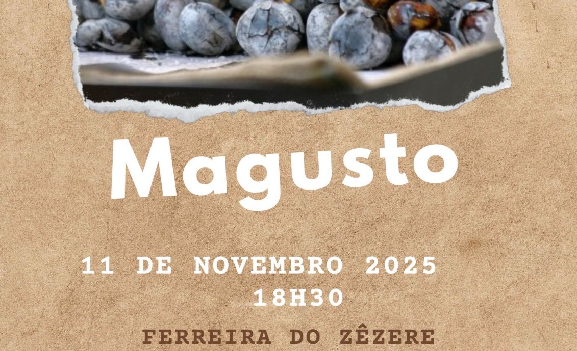 Magusto em Ferreira do Zêzere