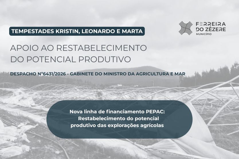 Nova linha de financiamento PEPAC