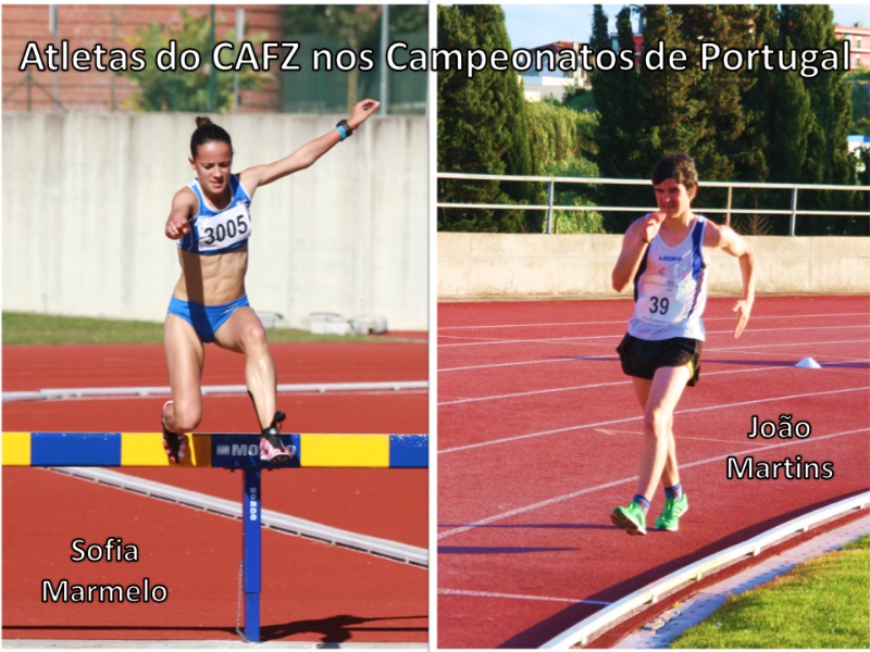 Campeonatos de Portugal