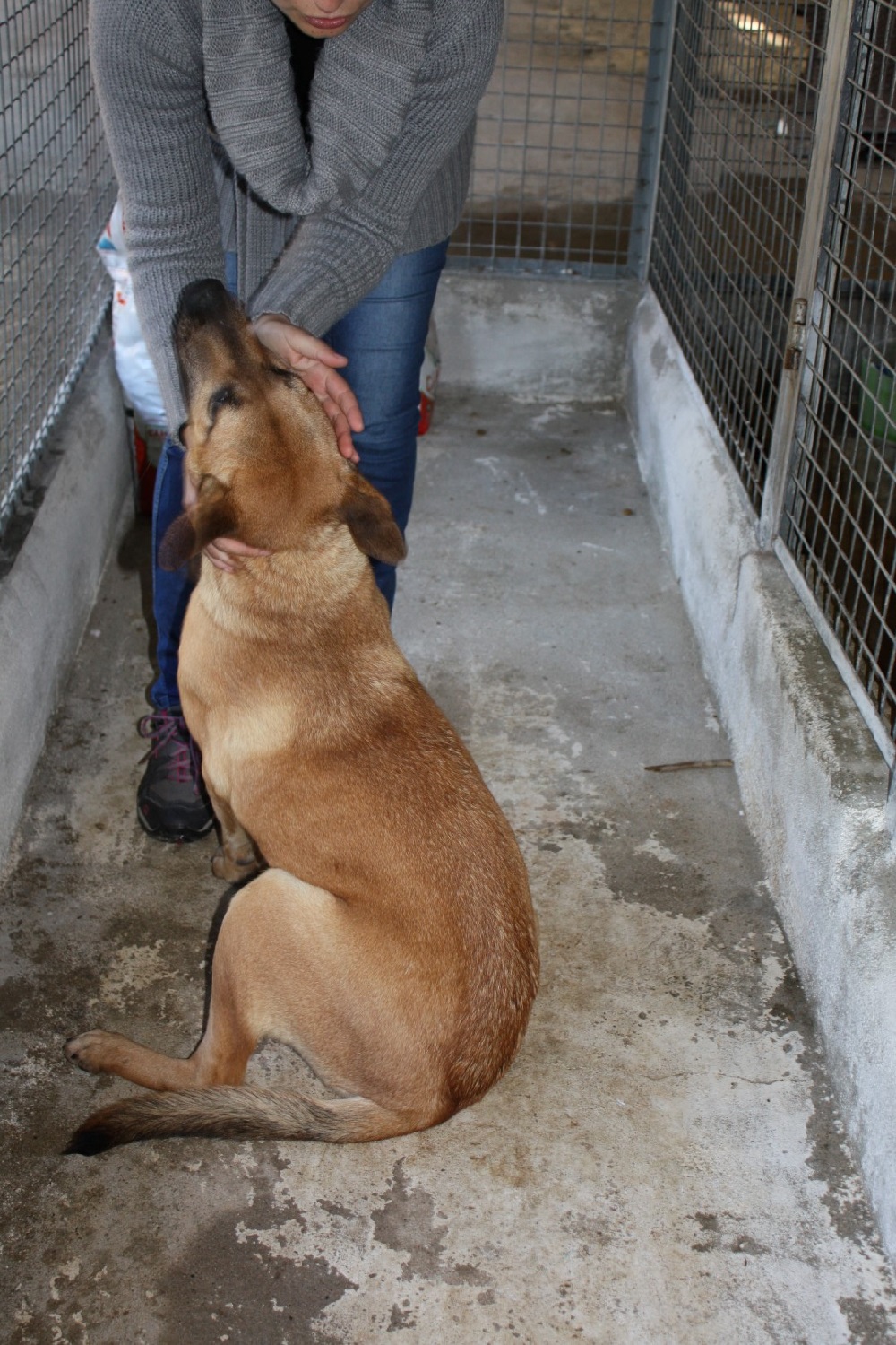 SOS Patinha do Zêzere