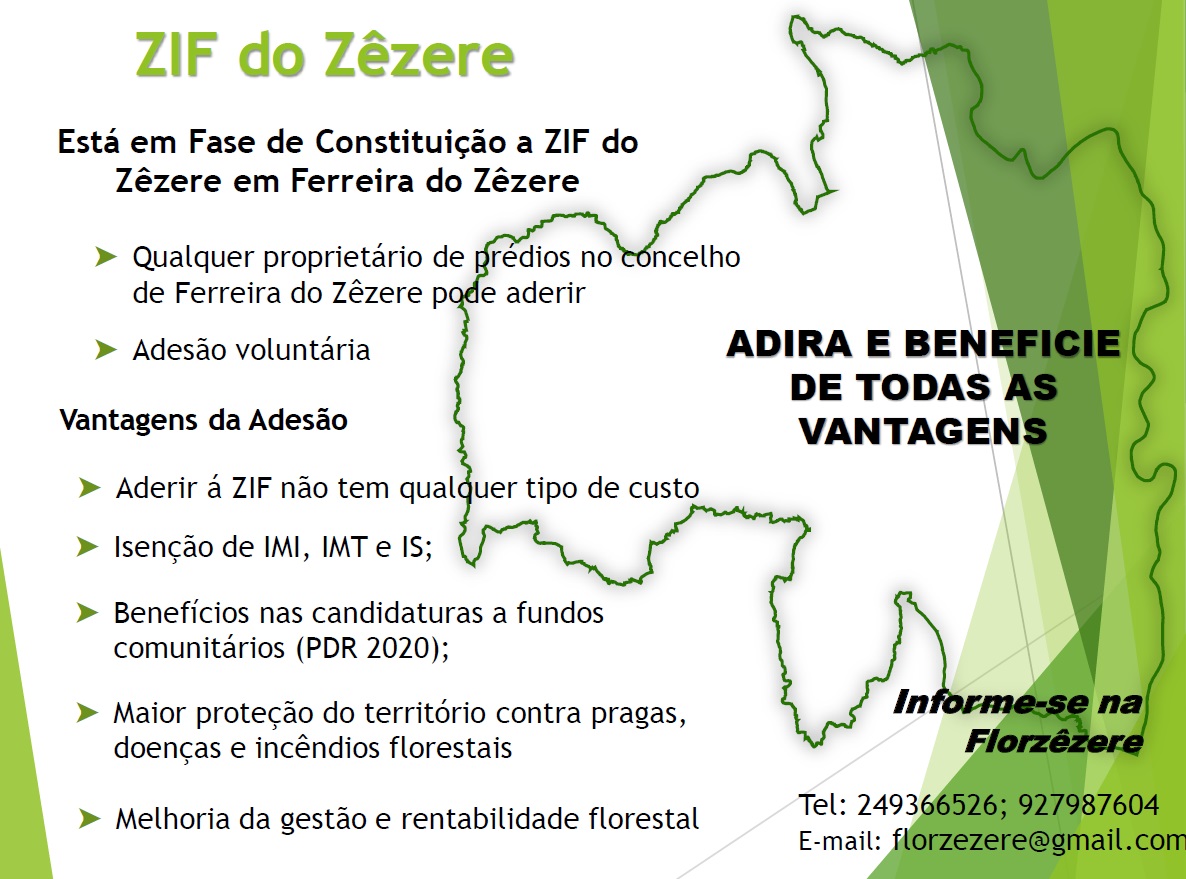 ZIF do Zêzere