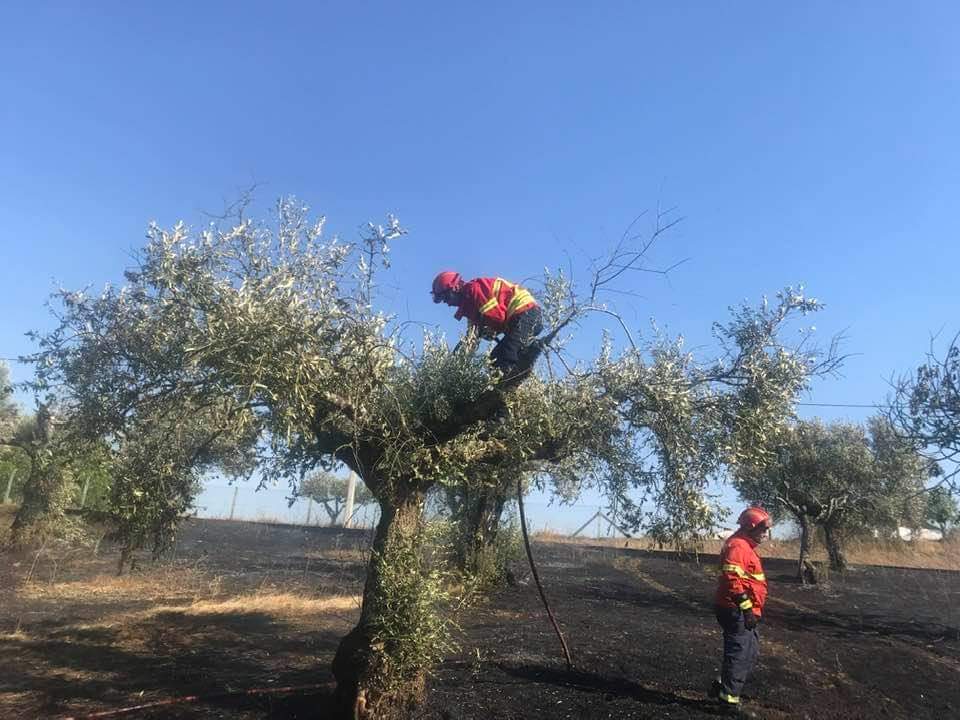Dia Internacional do Bombeiro