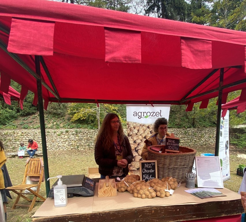 Ferreira do Zêzere no Wellness Weekend