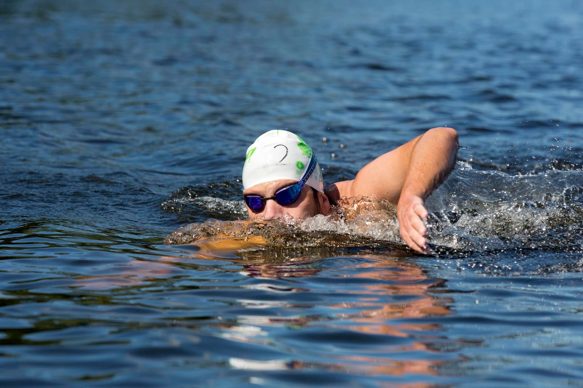 Noticias de Natação 