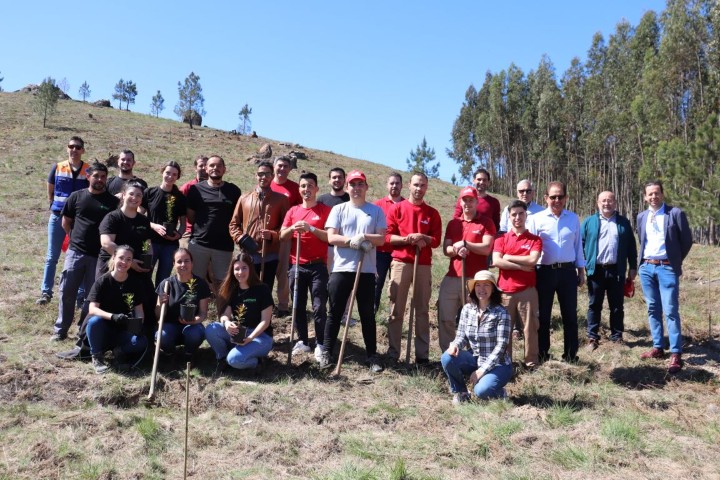 Comemoração do Dia da Árvore 