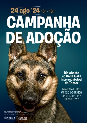 campanha adoção agosto24