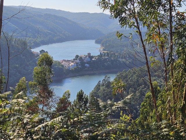 Dornes no Jornal Portugal Resident