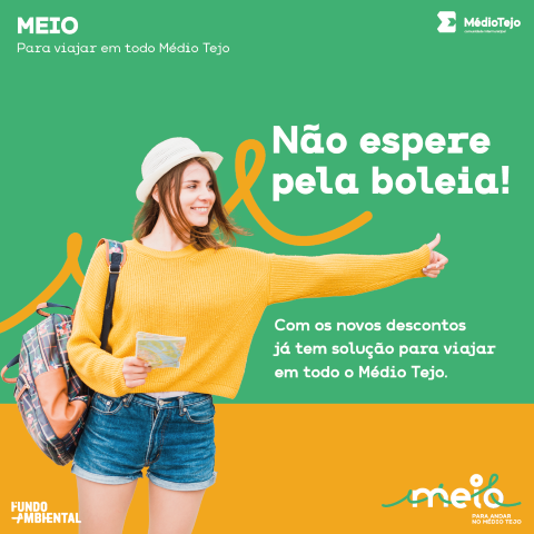 meio ii 3 1