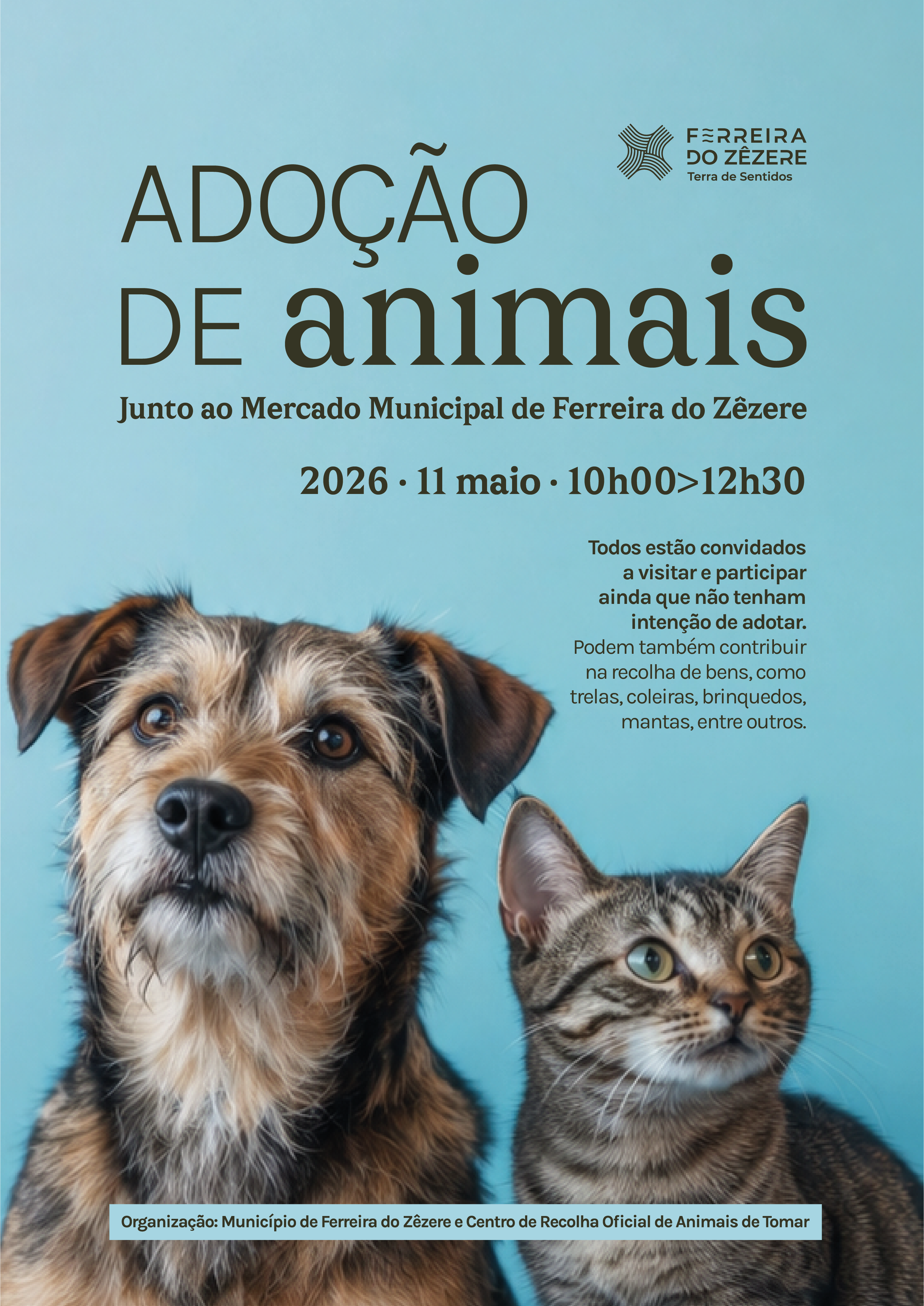 adocao animais 2026 a3