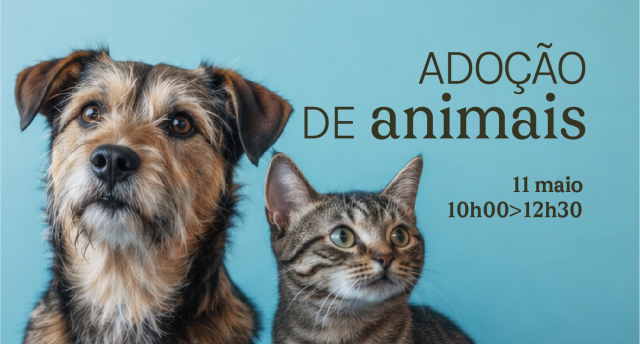 Campanha de adoção